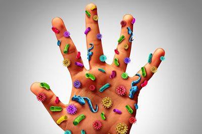 Микробы на руках