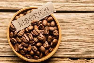 Кофе либерика