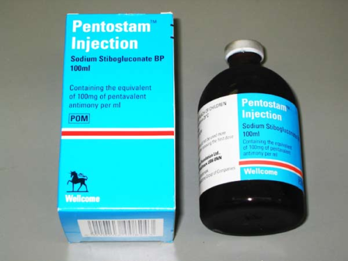 4-pentostam-500x375.png