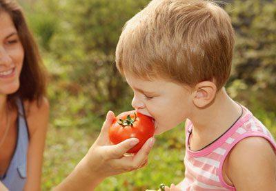 Ребенок ест помидор