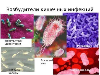 Разные кишечные инфекции
