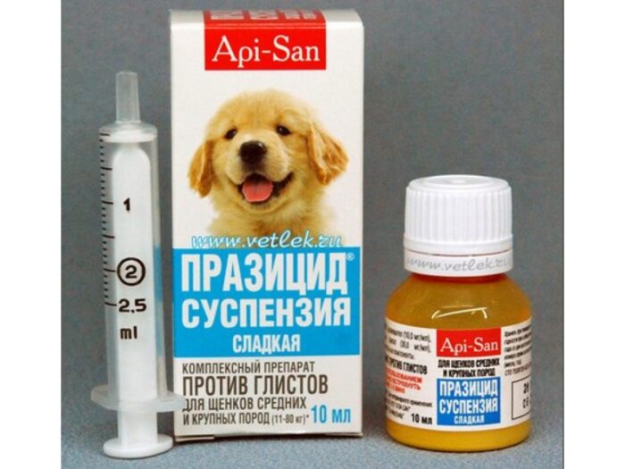 Lekarstva-ot-glistov-dlya-shhenkov.jpg