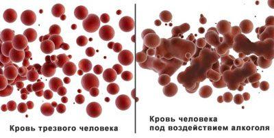 Кровь человека после алкоголя
