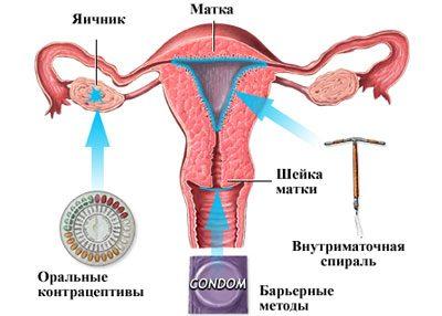 Действие контрацептивов
