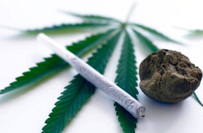 Влияет ли курение конопли выращивание марихуаны парника