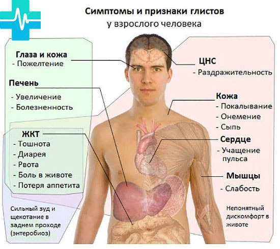 simptomu_glistov_y_cheloveka_gemoparazit_w41-min.jpg
