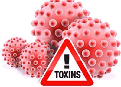 Как влияют токсины на организм и здоровье человека
