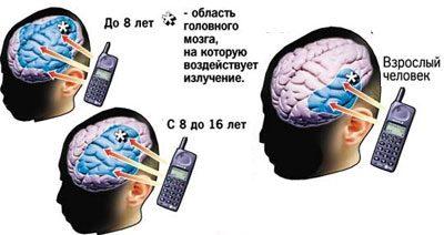 Влияние телефона на мозг